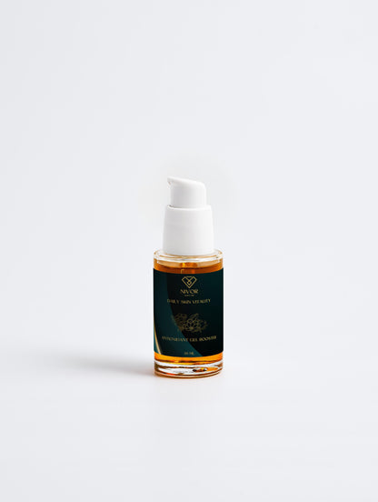 Antioxidant Ginkgo Gel Booster NIVOR